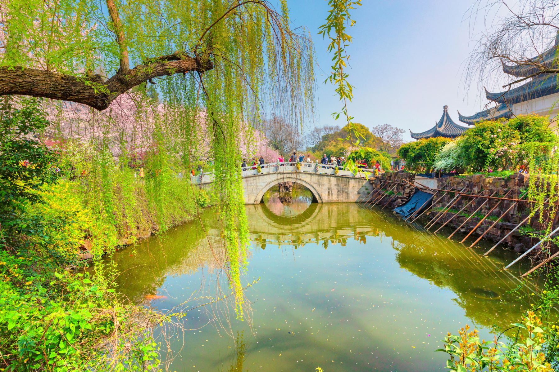 苏州上方山国家森林公园景点图片