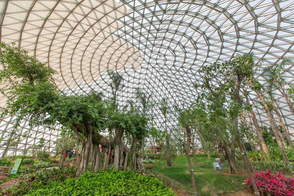 大阳山国家森林公园景点图片