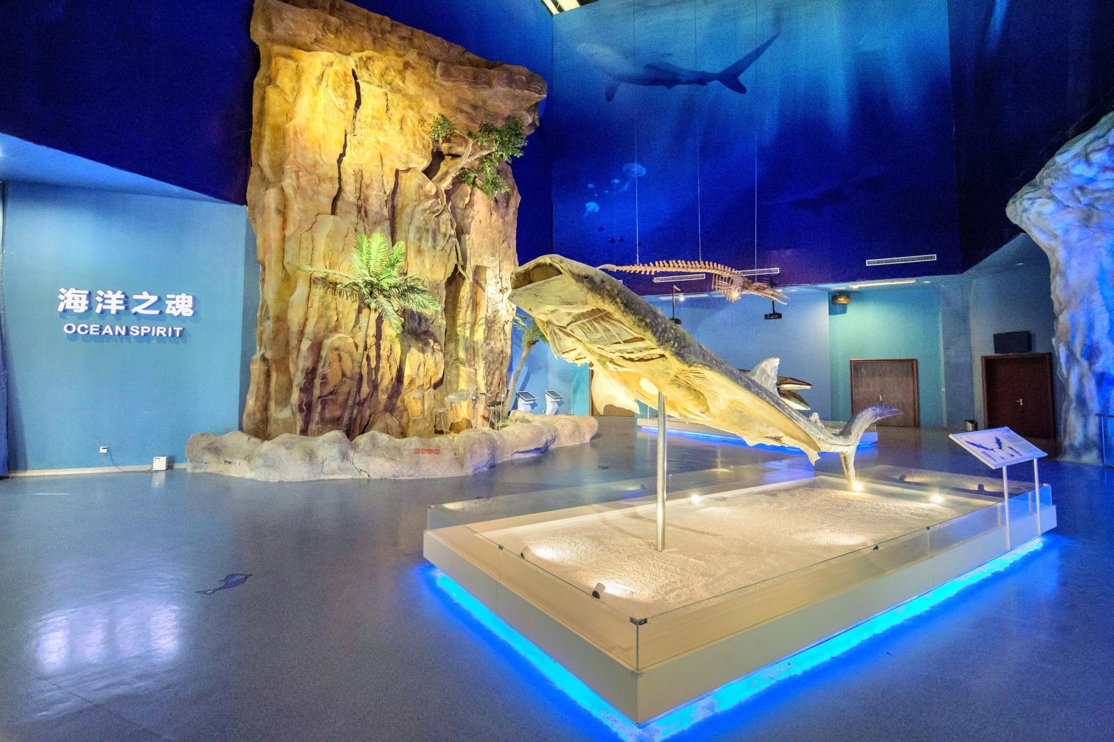 生命奥秘博物馆景点图片