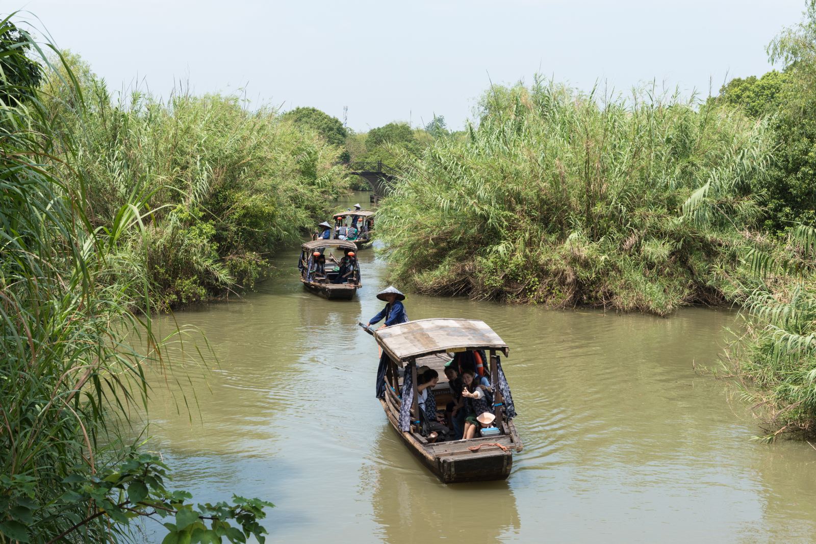 芦苇迷宫景点图片