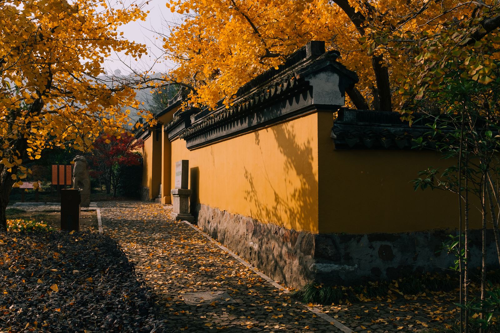 紫金庵景点图片