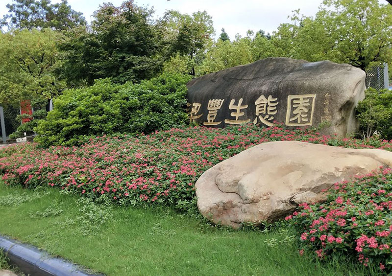 梁丰生态园景点图片