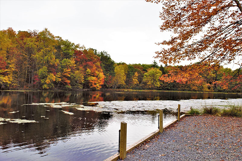 天平山庄景点图片